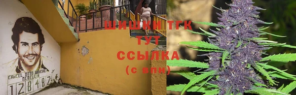 стафф Богородск