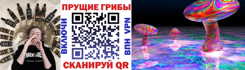 Псилоцибиновые грибы Psilocybine cubensis  блэк спрут сайт  Велиж  купить закладку 